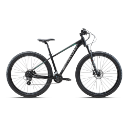 BOTTECCHIA 116